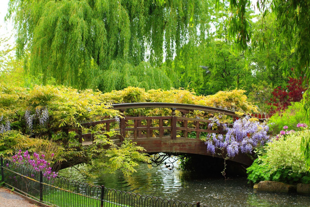 Bridge pond trees flowers park free wallpaper for desktop - medium preview image
