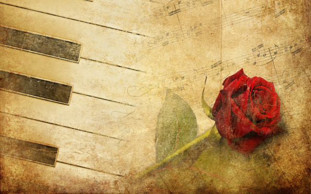 Red rose piano keyboard music free wallpaper for desktop - medium preview image