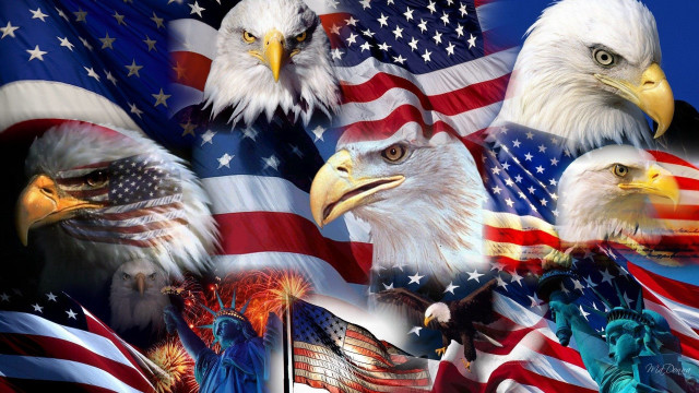 Bald eagles american flags blue free wallpaper for desktop - medium preview image