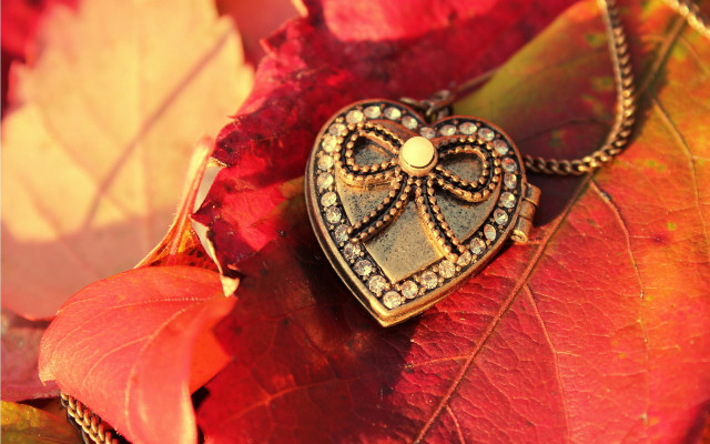 Heart shaped lock red rose free wallpaper for desktop - medium preview image