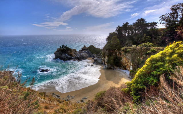 Beach water trees cliff rocks free wallpaper for desktop - medium preview image