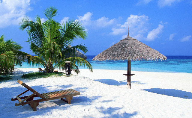 Beach palm umbrella bench sand free wallpaper for desktop - medium preview image