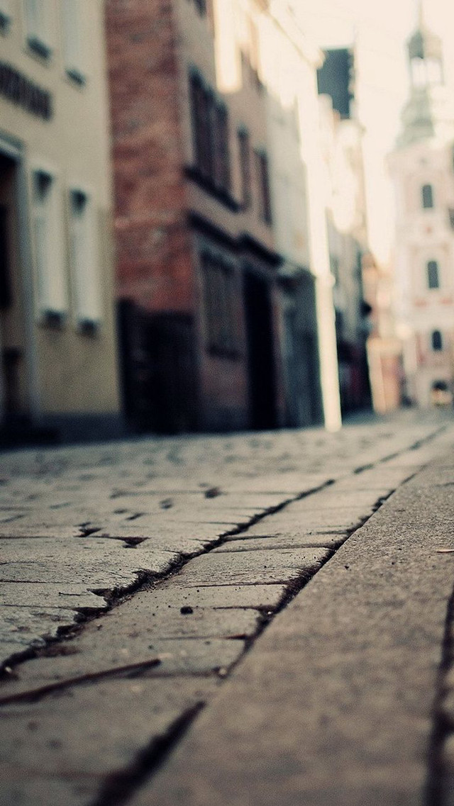 Small dog walking brick street free wallpaper for mobile - medium preview image