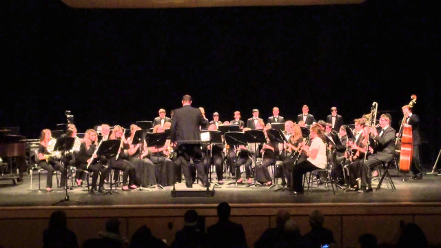 Conductor orchestra night performance stage free wallpaper for desktop - medium preview image