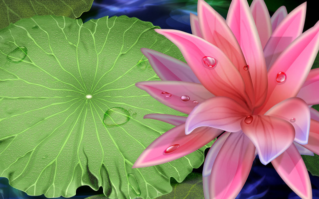 Pink flower green leaves water #2 free wallpaper for desktop - medium preview image
