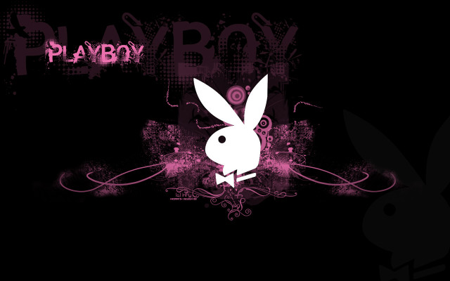 Rabbit standing dark pink background free wallpaper for desktop - medium preview image