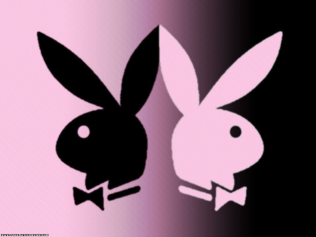 Rabbit bowtie popart gradient background free wallpaper for desktop - medium preview image