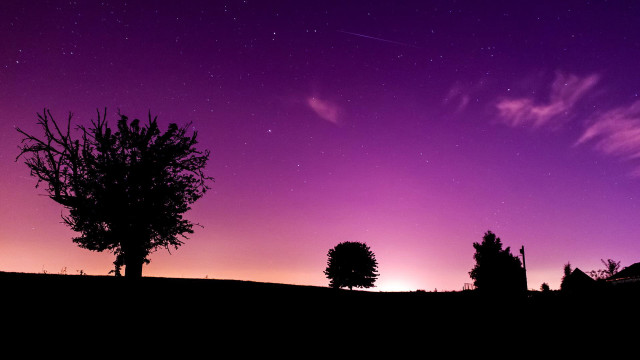 Purple sky tree star filled free wallpaper for desktop - medium preview image