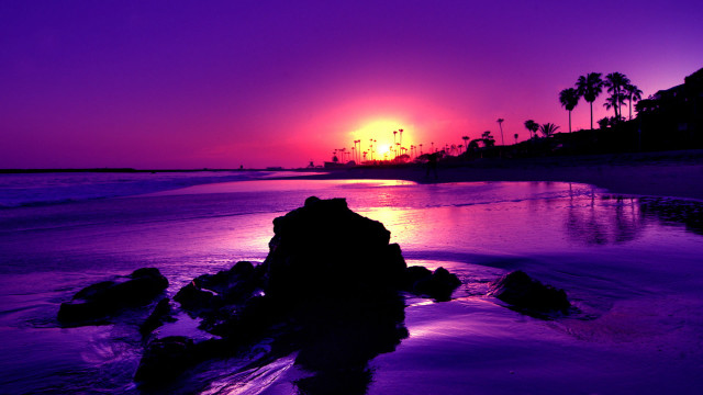 Sunset beach purple sky palm free wallpaper for desktop - medium preview image