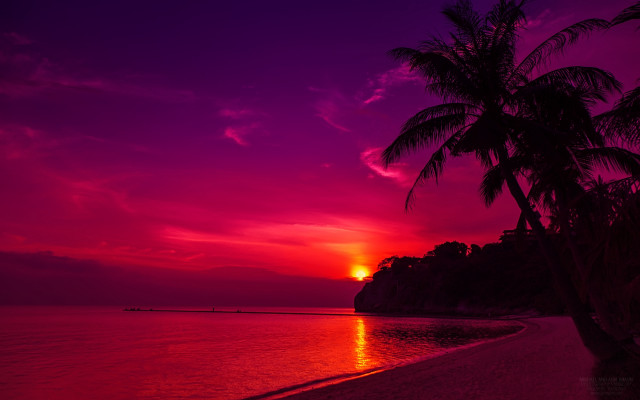 Sunset beach palm boat purple #2 free wallpaper for desktop - medium preview image