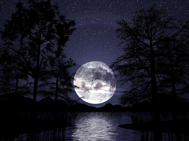 Full moon lake woods night free wallpaper for desktop - medium preview image