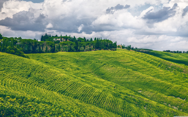 Lush green hillside house trees free wallpaper for desktop - medium preview image