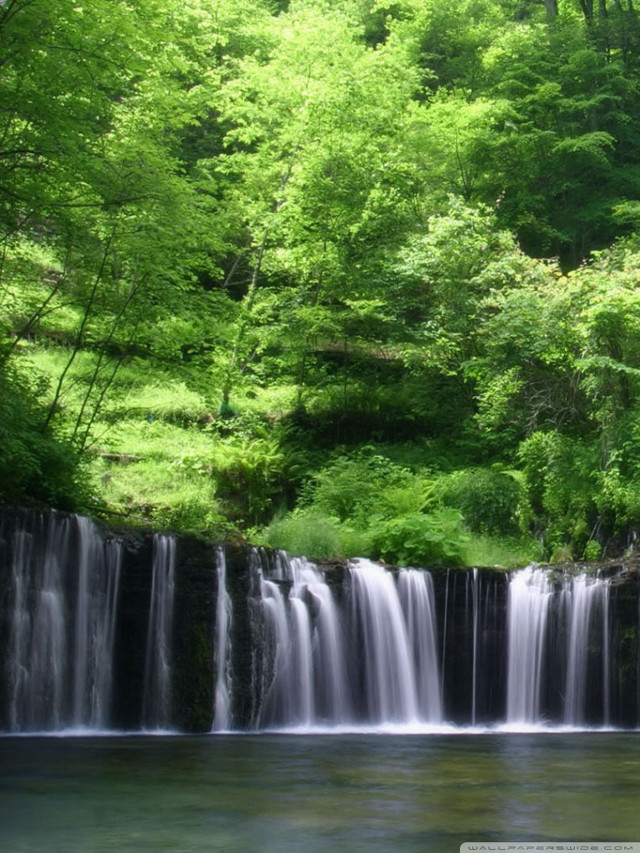 Waterfall forest lush hillside stream free wallpaper for mobile - medium preview image