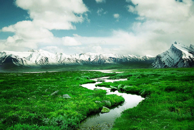 Stream lush field mountains snow free wallpaper for desktop - medium preview image