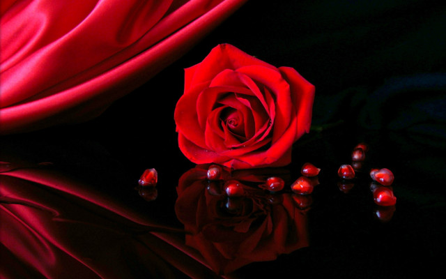 Red rose black surface red free wallpaper for desktop - medium preview image