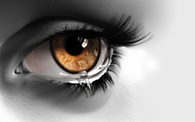 Eye long lashes brown black free wallpaper for desktop - medium preview image