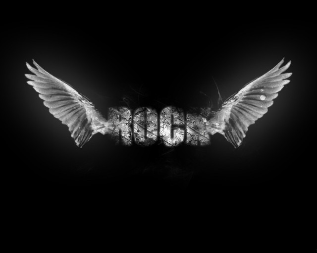 Black white bird wings boo free wallpaper for desktop - medium preview image