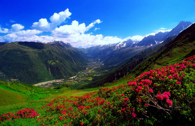 Valley flowers mountains clouds sky free wallpaper for desktop - medium preview image