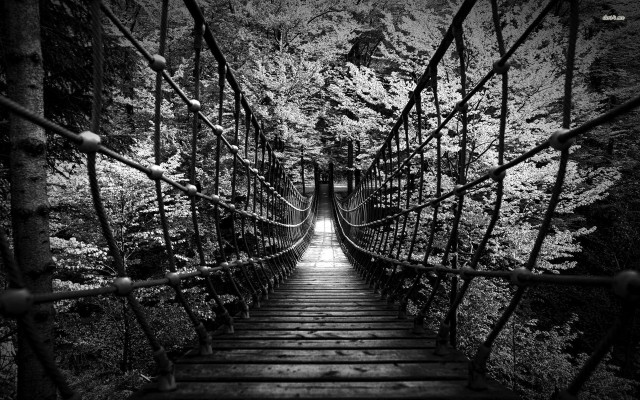 Suspension bridge woods light dark free wallpaper for desktop - medium preview image