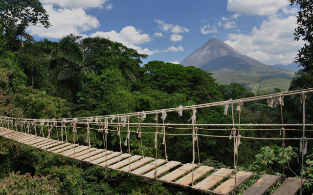 Rope bridge jungle mountain clouds free wallpaper for desktop - medium preview image
