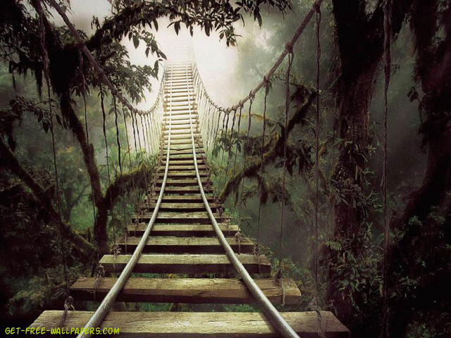 Wooden staircase forest trees fog free wallpaper for desktop - medium preview image