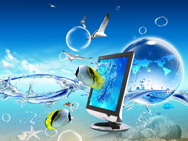 Computer monitor sea life birds #2 free wallpaper for desktop - medium preview image