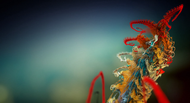 Colorful art blue background red #2 free wallpaper for desktop - medium preview image