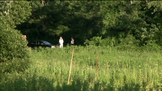 Couple walking lush green field free wallpaper for desktop - medium preview image