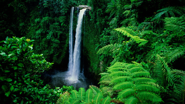 Waterfall lush green foliage trees free wallpaper for desktop - medium preview image