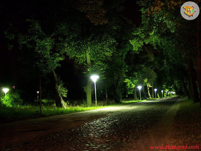 Night park path lights trees free wallpaper for desktop - medium preview image