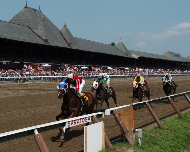 Horse race track crowd watching free wallpaper for desktop - medium preview image