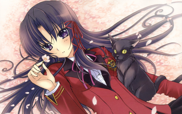 Woman long hair cat on free wallpaper for desktop - medium preview image