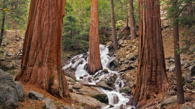 Waterfall forest trees rocks nature free wallpaper for desktop - medium preview image