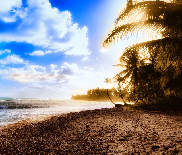 Beach boat palm trees blue free wallpaper for desktop - medium preview image