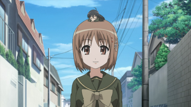 Girl cat head street building free wallpaper for desktop - medium preview image