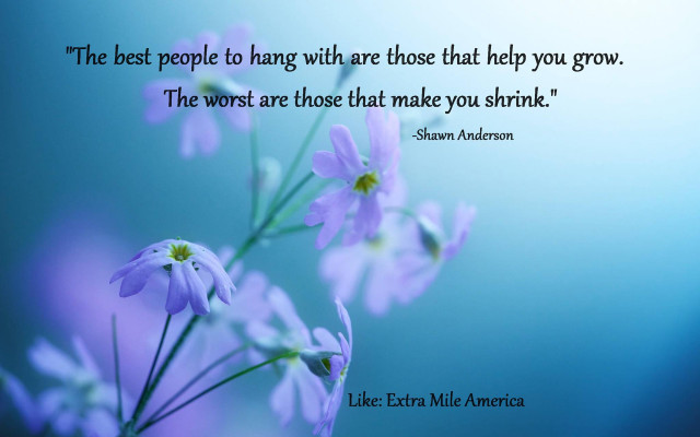 Flowers quote beautiful spring nature free wallpaper for desktop - medium preview image