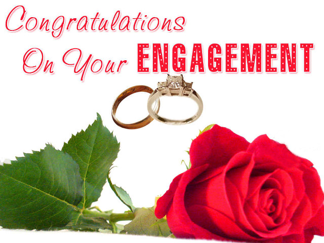 Rose wedding rings congratulations engagement free wallpaper for desktop - medium preview image