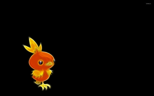 Red bird yellow feathers head free wallpaper for desktop - medium preview image