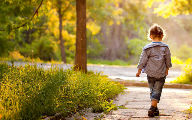 Young child walking path woods free wallpaper for desktop - medium preview image