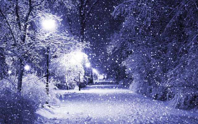Snowy path park night streetlights free wallpaper for desktop - medium preview image