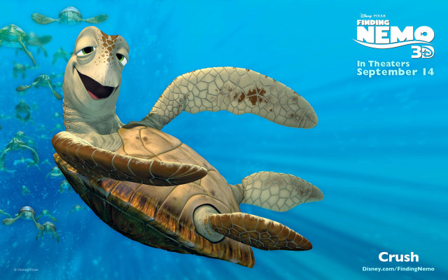 Cartoon turtle swimming ocean caption free wallpaper for desktop - medium preview image