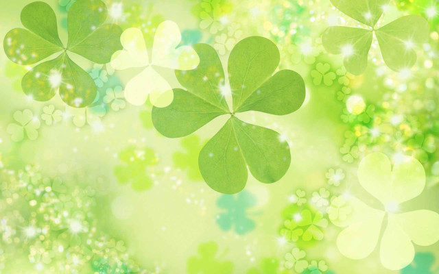 Green background four leaf clovers #2 free wallpaper for desktop - medium preview image