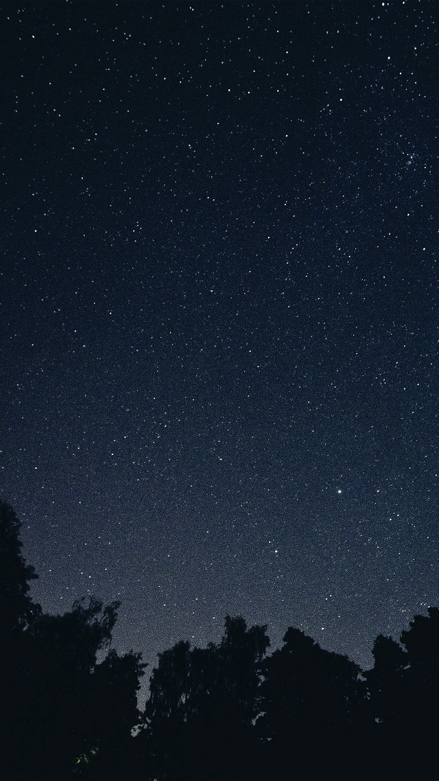 Night sky stars trees foreground #5 free wallpaper for mobile - medium preview image