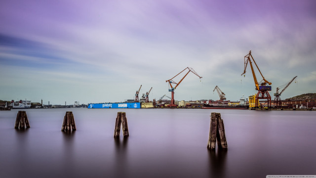 Cranes sitting water dock blue free wallpaper for desktop - medium preview image