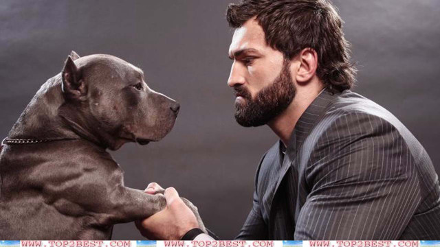 Man holding dog lap serious free wallpaper for desktop - medium preview image