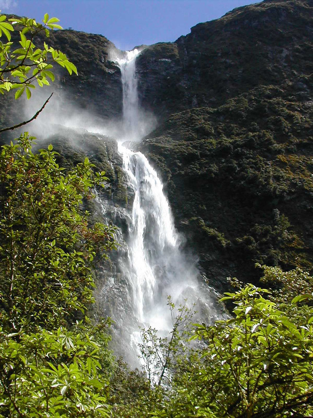 Waterfall through trees bushes foreground free wallpaper for mobile - medium preview image