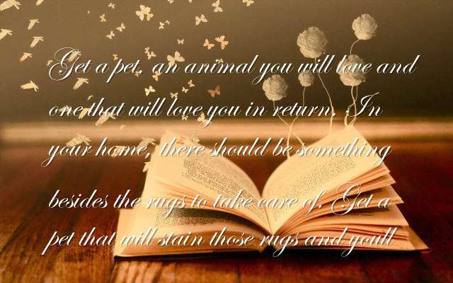 Book butterflies flying table quote free wallpaper for desktop - medium preview image
