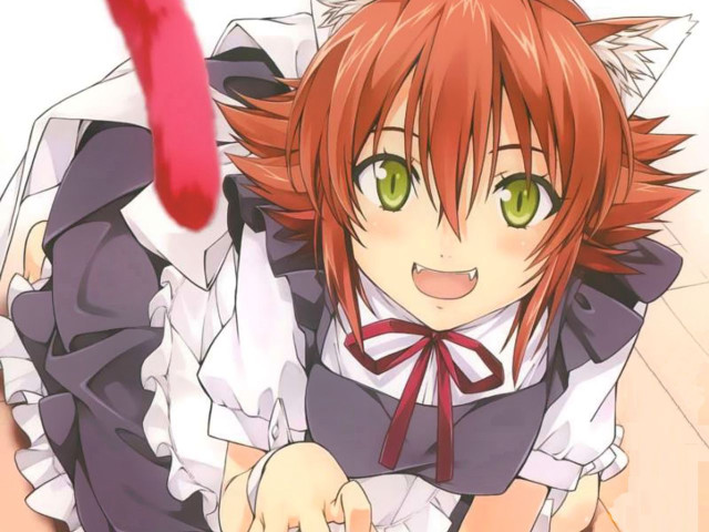 Anime girl green eyes cat free wallpaper for desktop - medium preview image