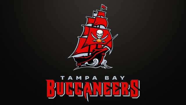 Tampa bay buccaneers logo skull #2 free wallpaper for desktop - medium preview image