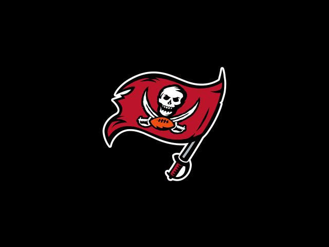 Tampa football team logo skull free wallpaper for desktop - medium preview image